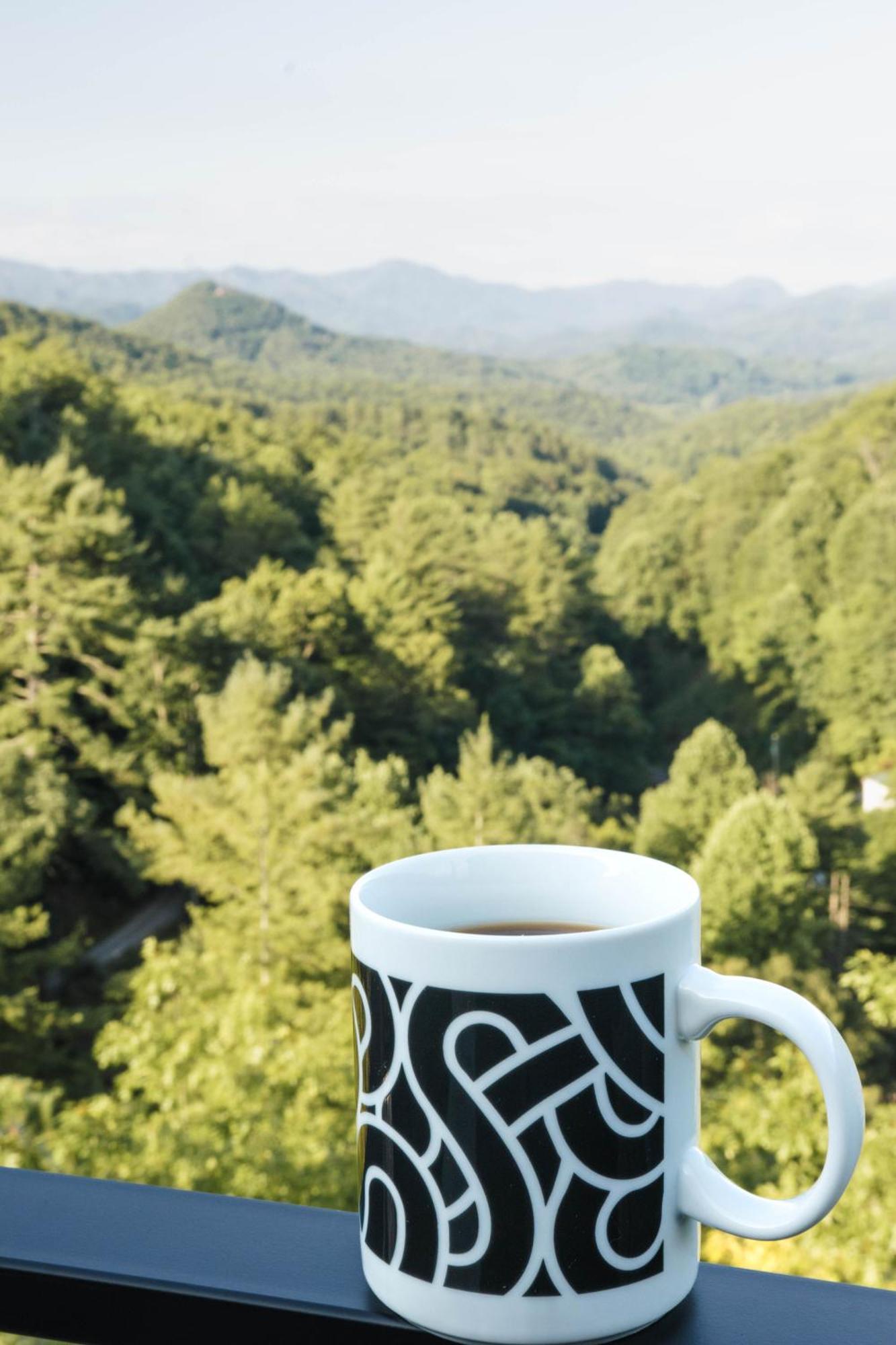 Long View Resort Bryson City, Nc Экстерьер фото